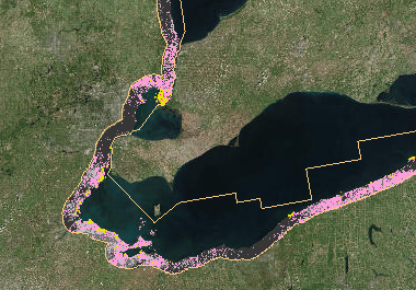 Screenshot of a map of parts of Michigan that are vulnerable to Phragmites invasions